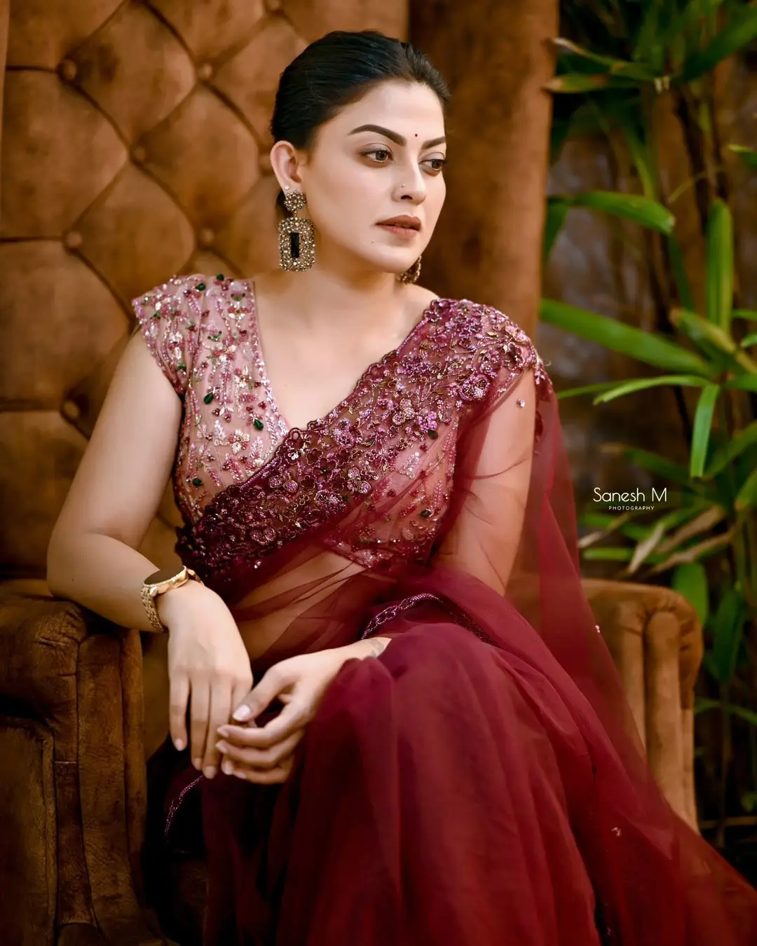 Anusree Nair In South Indian Traditional Maroon Saree Blouse